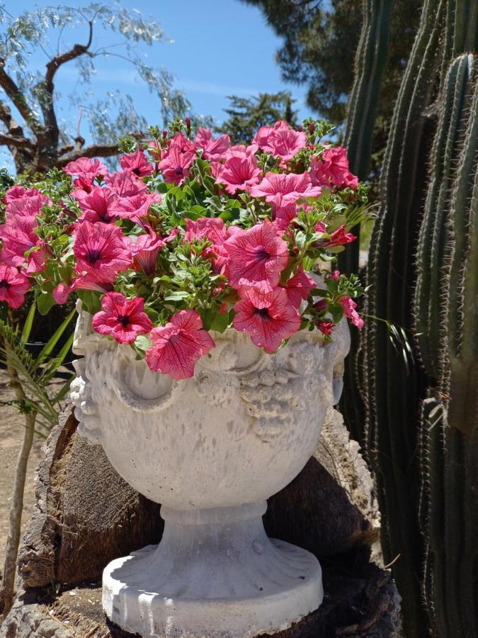 Casolare Del Toscano Country Rooms Caltagirone Luaran gambar